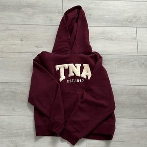 Aritzia TNA cozy fleece hoodie